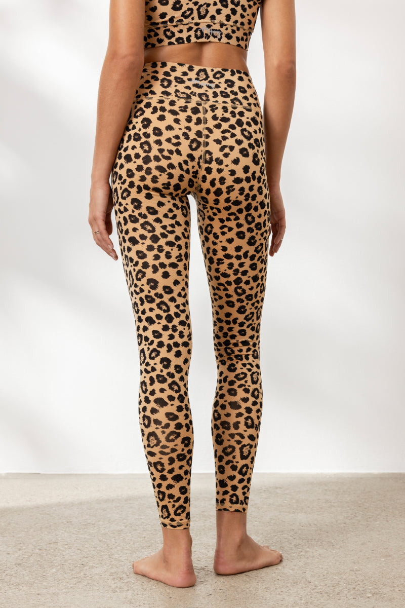 Leo Biscuit Set | Hey Honey & Active Wear