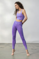 Leggings Violet