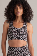 Leo Shadow Set | Hey Honey & Active Wear